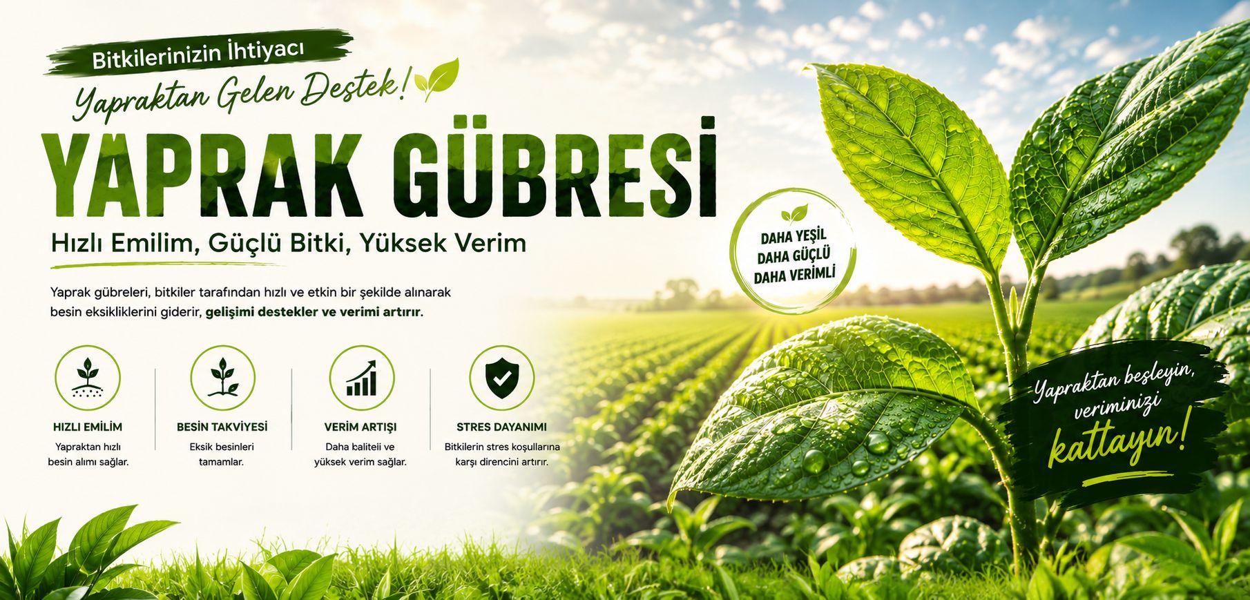 YAPRAK GÜBRESİ